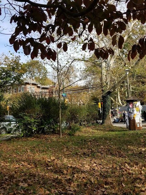 Clark Park Farmers' Market